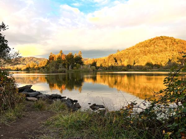 /Images/uploads/Sonoma County Regional Parks Foundation/springlake50/entries/28919thumb.jpg